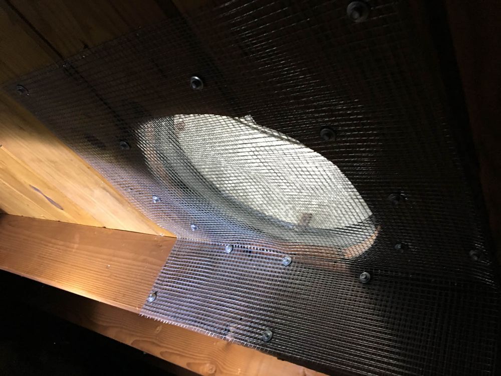 Wire mesh fastened over an attic vent opening