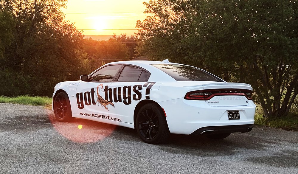 ACI-branded Dodge Charger parked at sunset