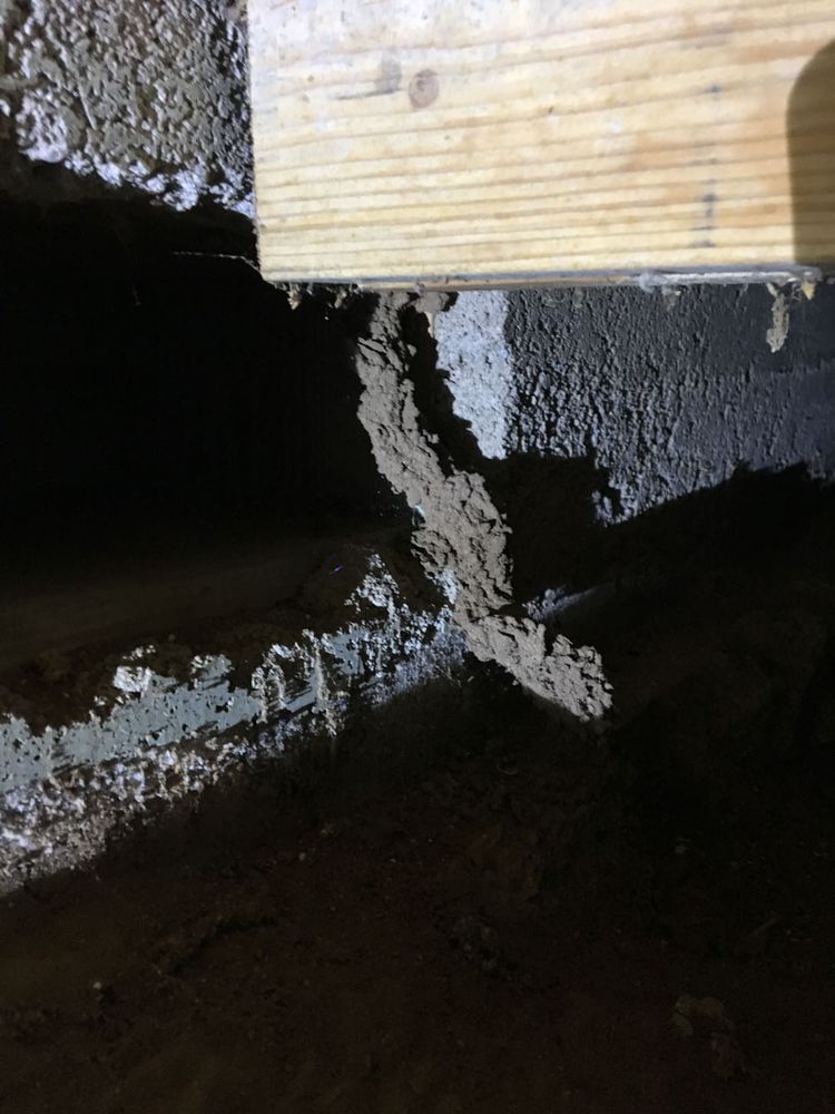 Termite mud tube running down a crawlspace wall