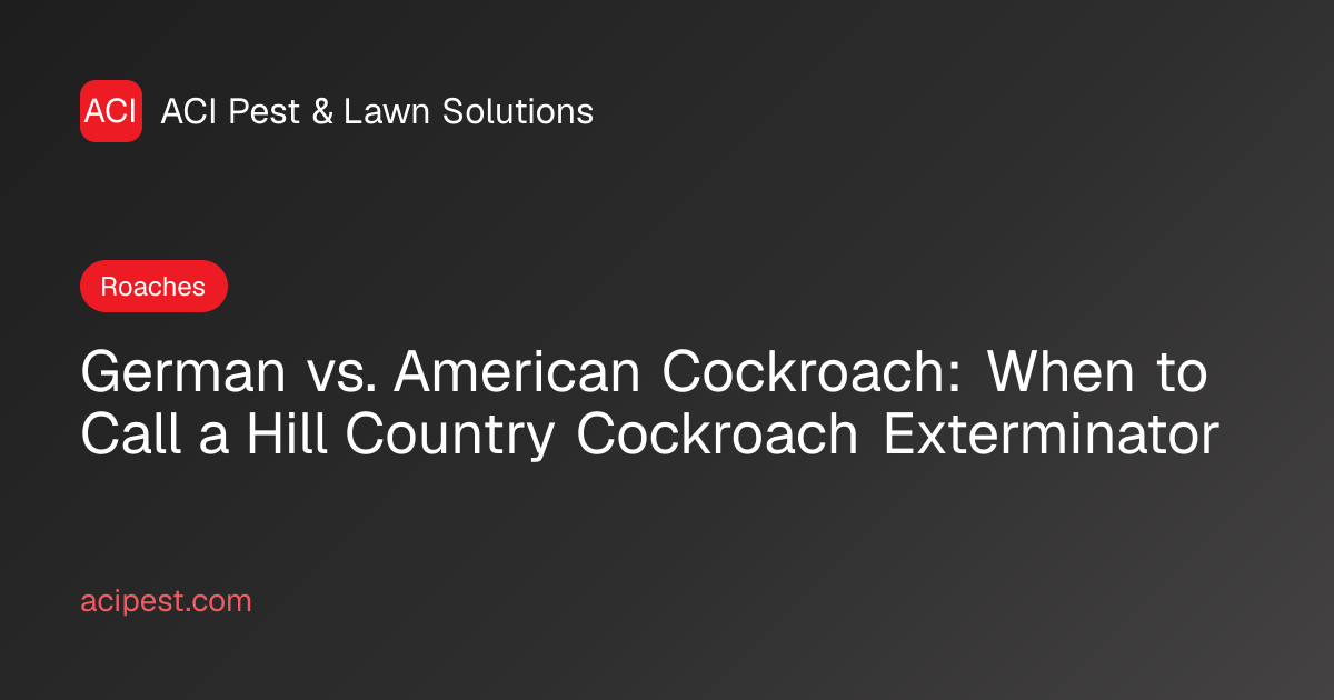 Cockroach Control Hill Country | German vs. American Roach | ACI Pest ...